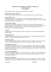 sangue capillari