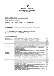 CORSO INTEGRATO: Anatomia