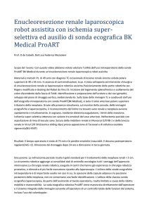 Enucleoresezione renale laparoscopica robot assistita con ischemia