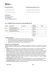 DESTINAZIONE MERCE ORDINANTE/INTESTAZIONE FATTURA