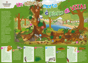 Cosi come gli alberi vivi, quelli morti costituiscono un elemento
