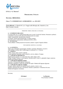 istituto di istruzione superiore