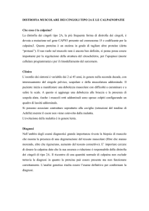 DISTROFIA MUSCOLARE DEI CINGOLI TIPO 2A E LE