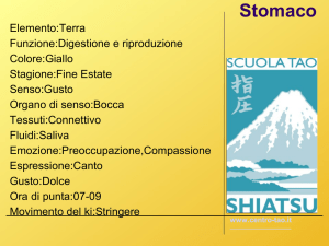 Stomaco - Centro Tao Network