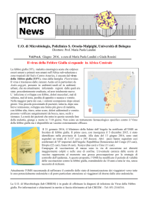 Prot - Policlinico S.Orsola
