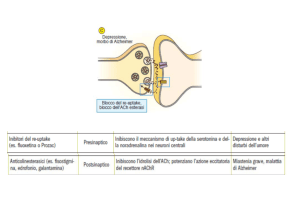 Diapositiva 1