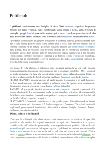 Polifenoli - Colle al Vento