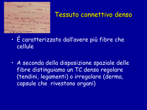Tessuto connettivo denso