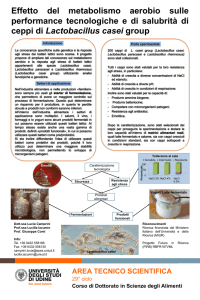 Presentazione di PowerPoint - Università degli Studi di Udine