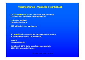 antitripanosomici, antiamebici e antigiardiasi