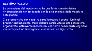 Sistema Visivo