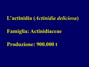 Specie minori