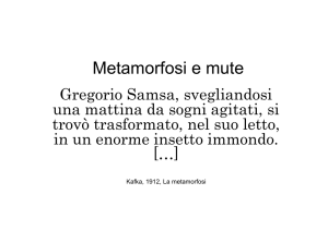 M t f i t Metamorfosi e mute