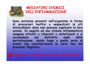 Presentazione di PowerPoint