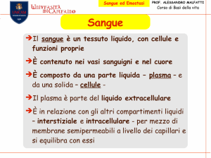 Sangue ed Emostasi