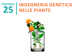 Lezione 3 File - e