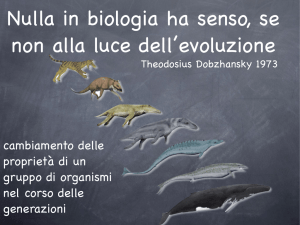evoluzione prima