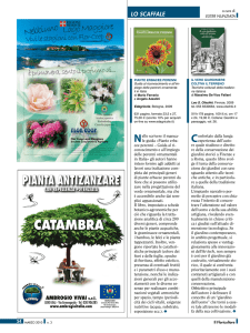 PIANTA ANTIZANZARE