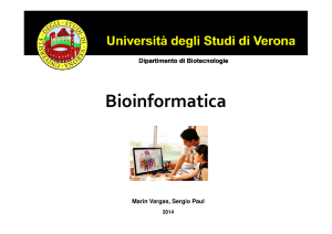 Bioinformatica