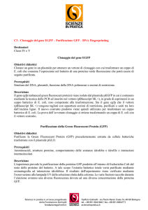 clonaggio - Scienze in Pratica