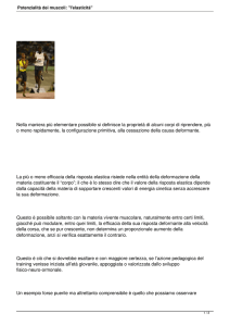 Potenzialità dei muscoli: "l`elasticità"