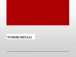 6b. Rene Neoplasie
