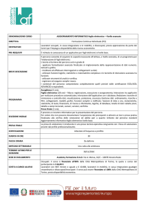 foglio elettronico—livello avanzato