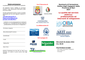La qualità del servizio elettrico - collegio territoriale dell`ordine dei