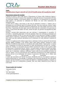 Risultati della Ricerca Identificazione di geni coinvolti nel ciclo di