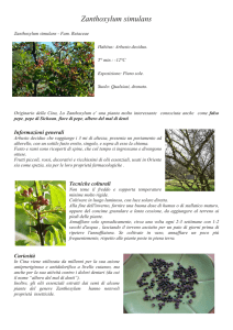 scarica file PDF - Botanica La Romola