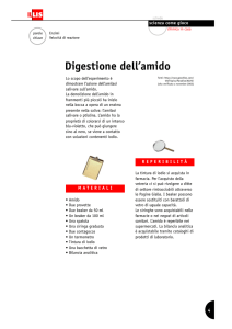 Digestione dell`amido