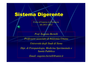 Sistema Digerente