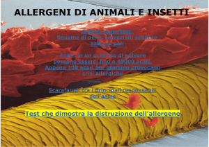 ALLERGENI DI ANIMALI E INSETTI