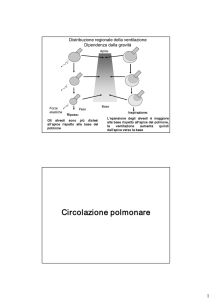 Gri 27) Ventilazione e perfusione
