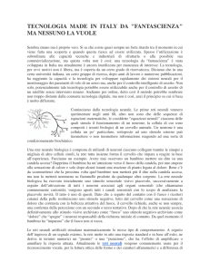 Continua - OdisseoSpace