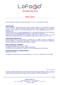 Scheda tecnica Red Zym