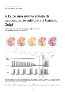 Leggi in PDF - SIF Prima Pagina