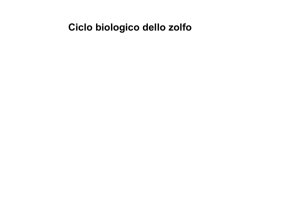 18 10. ciclo biochimico zolfo [modalità compatibilità]