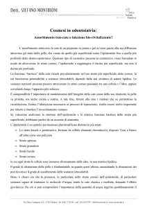 Scarica PDF