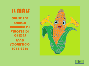 Il Mais: Presentazione Didattica per la Scuola Primaria