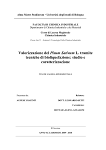 - AMS Tesi di Laurea