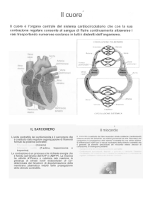 Lezione del 09-marzo-2010 parte-1 -IL CUORE