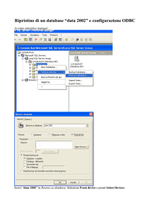 Ripristino di un database e ODBC