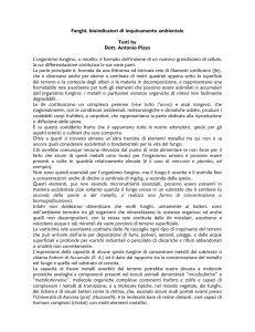 Funghi, bioindicatori di inquinamento ambientale Testi by