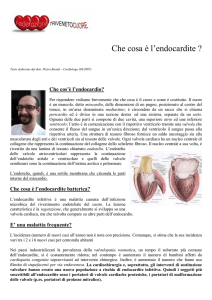 Che cosa è l`endocardite