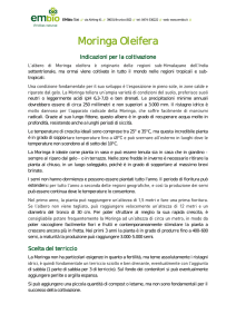 Istruzioni per la semina e la coltivazione