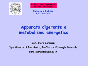 Digerente - Dipartimento di Biochimica Biofisica e Patologia Generale