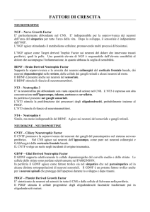 FATTORI DI CRESCITA