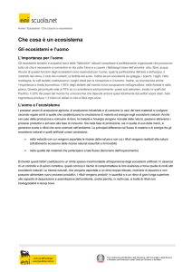 Gli ecosistemi e l`uomo