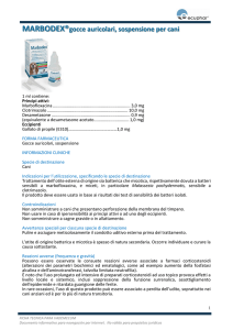 Scheda tecnica